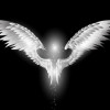 diamond-angel leaks